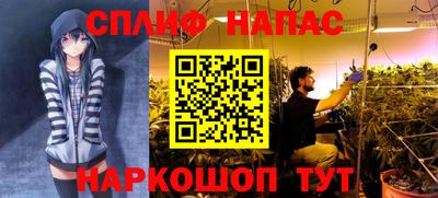 мяу мяу мука Усть-Илимск