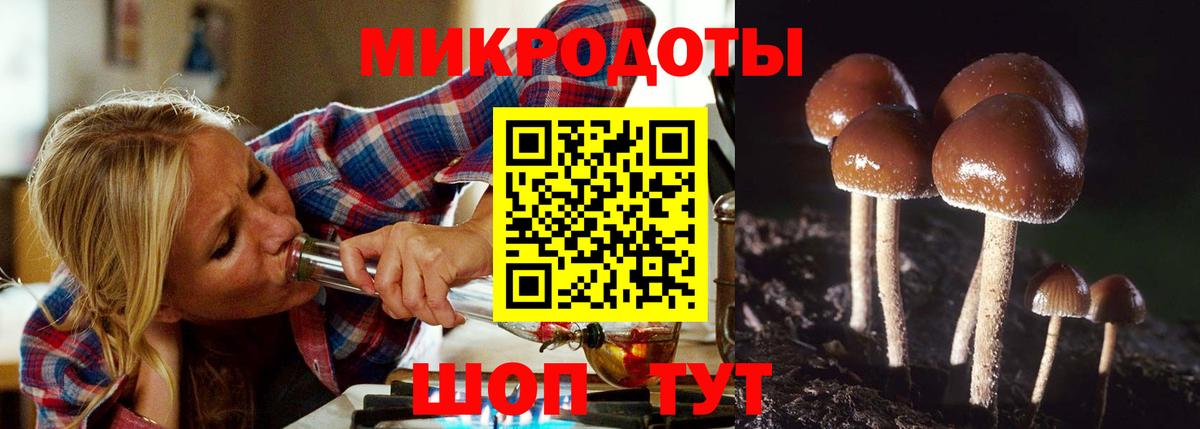 Галлюциногенные грибы мухоморы Богданович