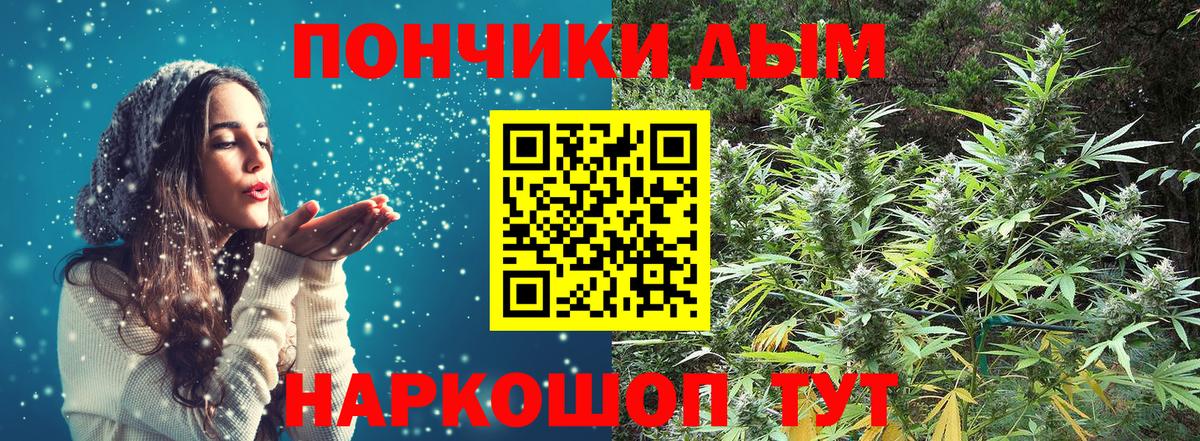Канабис план Богданович